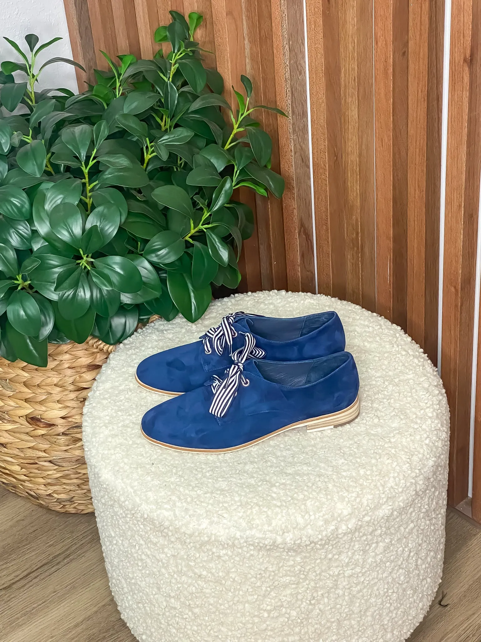 Bipka Navy Suede Lace Up Shoes