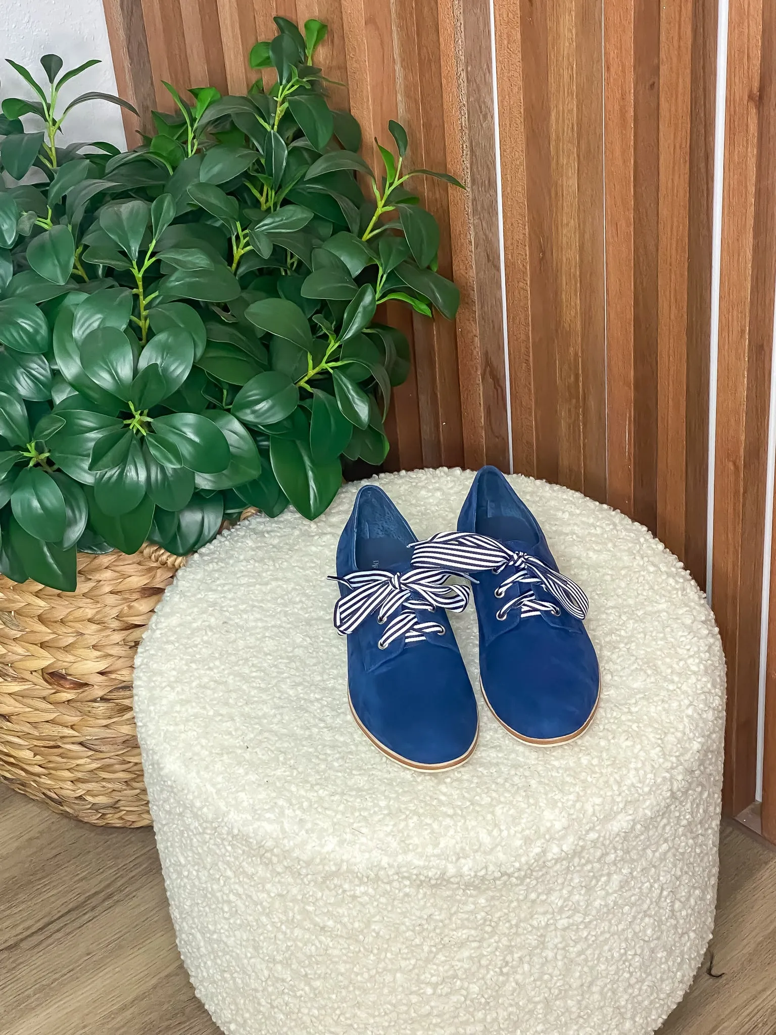 Bipka Navy Suede Lace Up Shoes