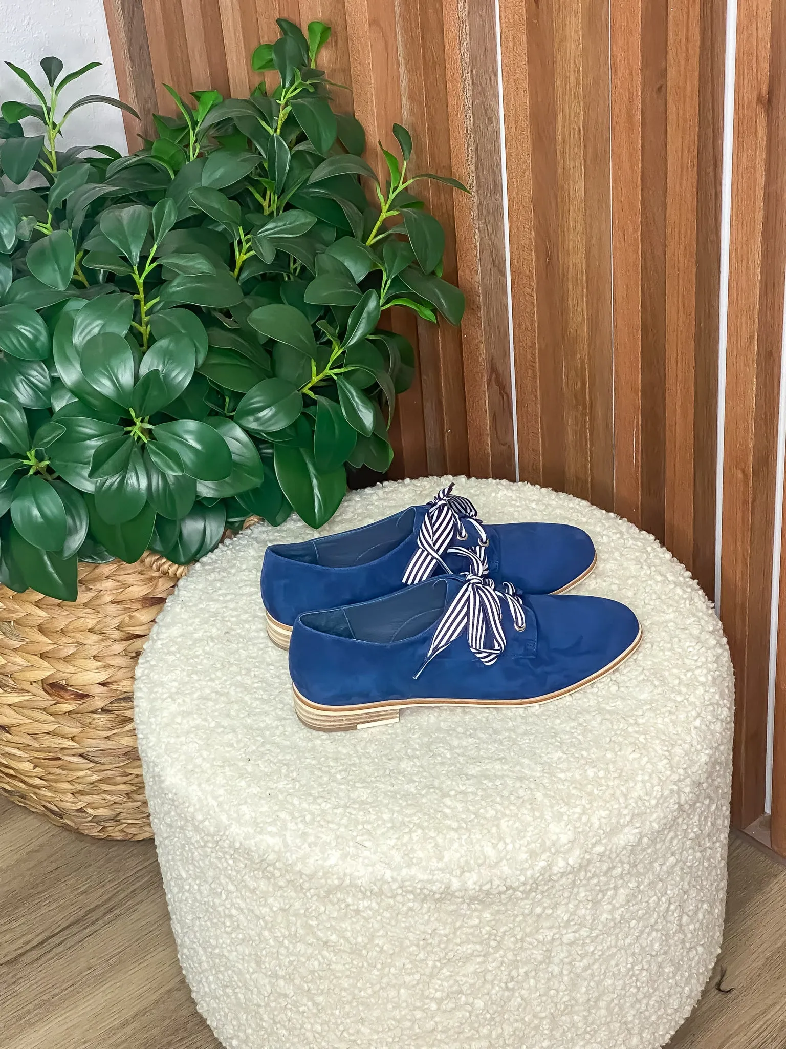 Bipka Navy Suede Lace Up Shoes