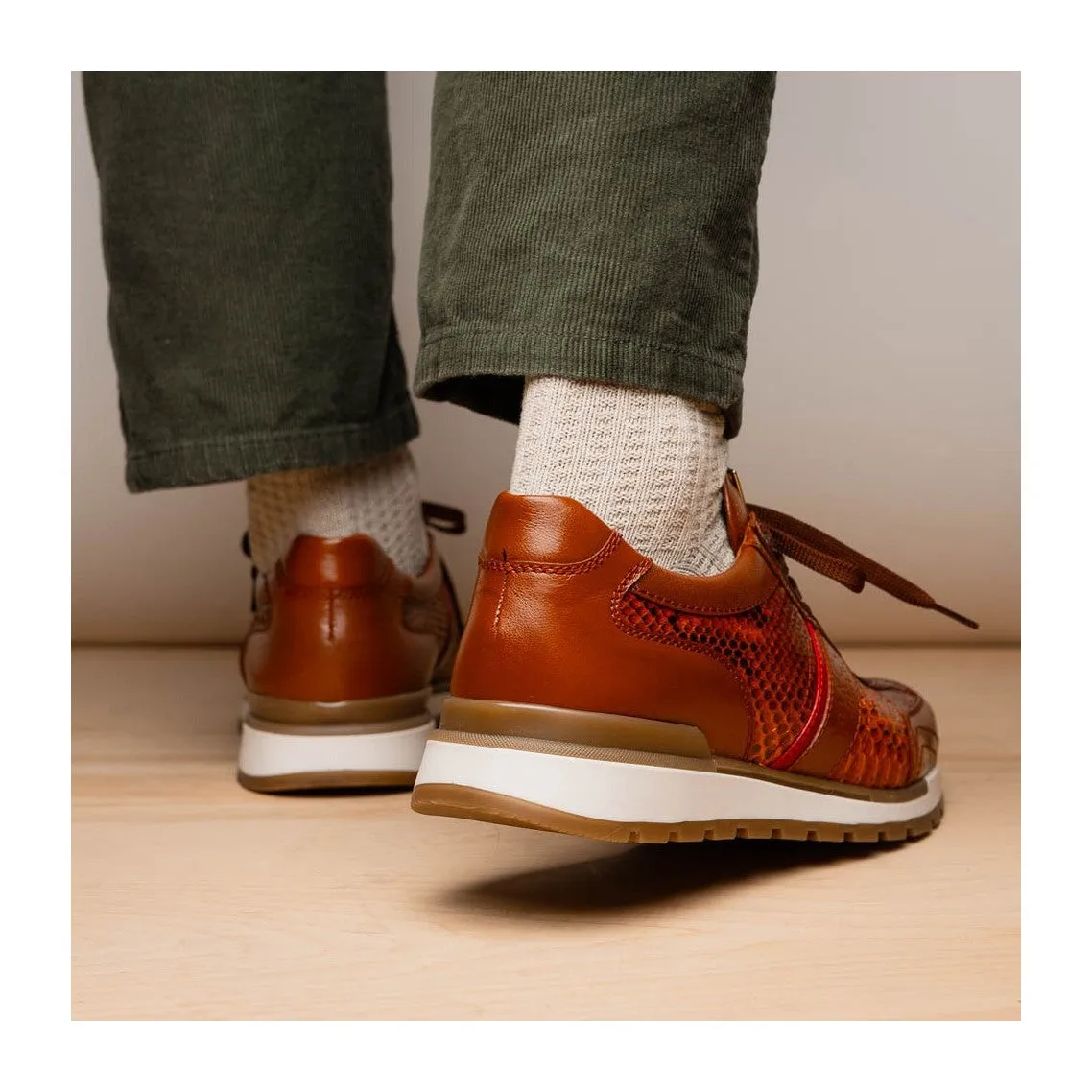 Marco Di Milano Brescia Men's Shoes Genuine Snake Skin / Calf-Skin Leather Sneakers (MDM1124)